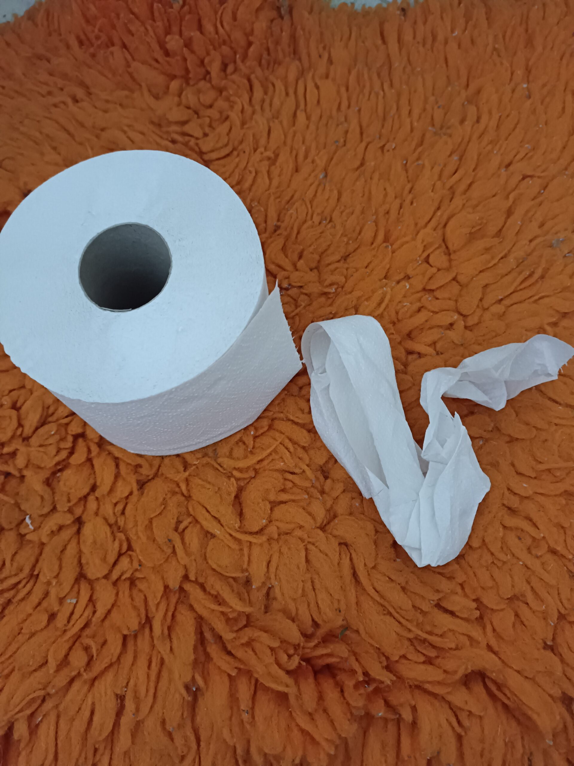 Kus toaletního papíru od čuránek