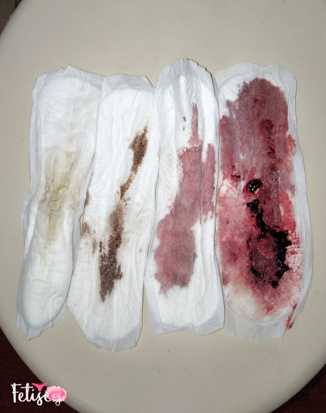 Menstruační vložky